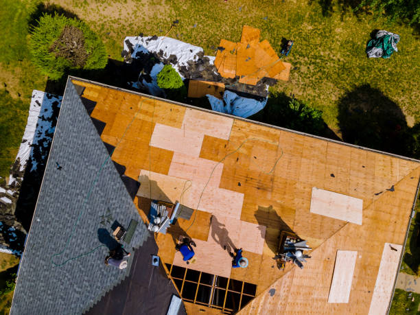 Best Storm Damage Roof Repair  in Riddle, OR